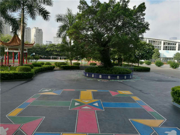 校园风光