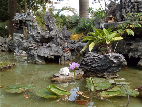 花样校园