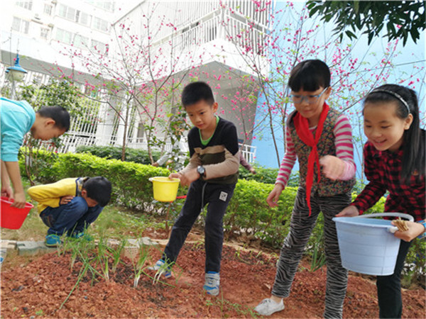 阳光少年   自信成长