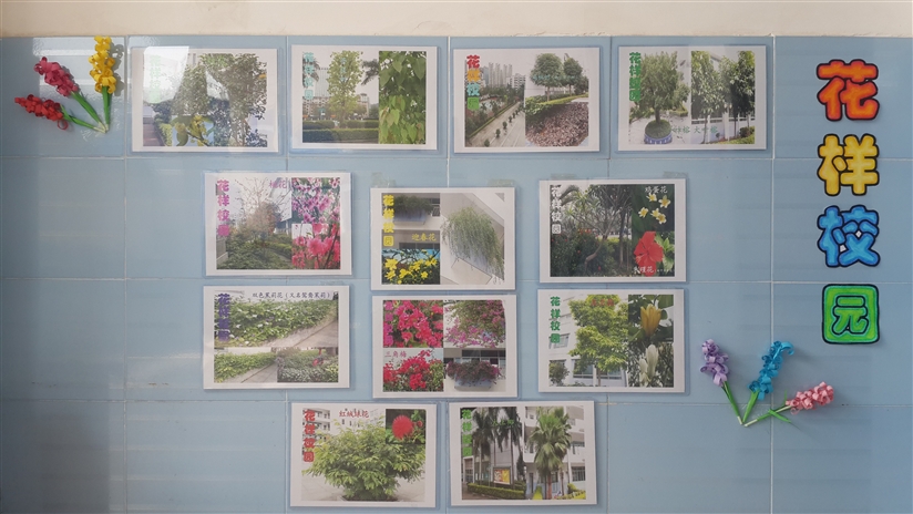 记下学校美丽的一角