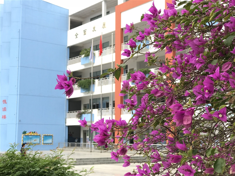 花样校园