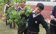 南宁卓立实验学校植树活动报道