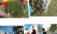 校园迎来植树节 学校开展植树护绿活动