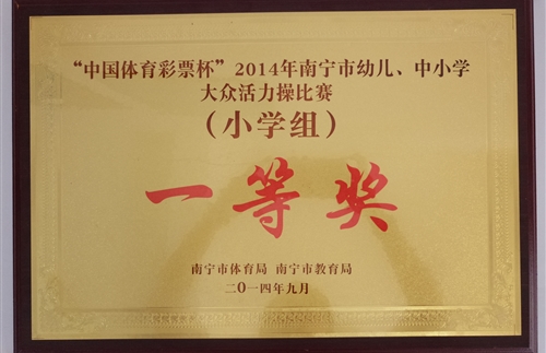 2014年南宁市中小学大众活力操比赛一等奖