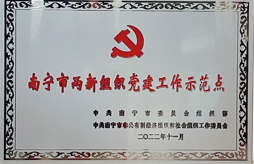 南宁市两新组织党建工作示范点